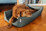 Croozer Hundebett für Dog Tammo - Farbe: Moonlight