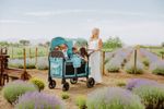 Wonderfold W2 Luxe Pro für 2 Kinder / Bollerwagen Van Gogh Edition