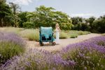 Wonderfold W4 Luxe Pro Kinderwagen für 4 Kinder / Bollerwagen Van Gogh Edition