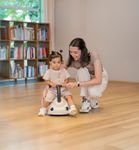 Globber Walk ´n Roll 2in1 Eco / Laufwagen und Rutscher