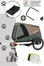 Croozer Dog Enna Happy Walk inkl. Regenverdeck, Packfach, Buggy-Set