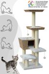 Nobby Kratzbaum MOTEGA