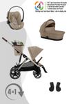 Almond Beige / Taupe