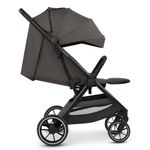 ABC Design Avus 3 Buggy / Sportwagen