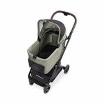 Wonderfold Bella Tier Transportwagen / Hunde Buggy