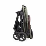 Wonderfold Bella Tier Transportwagen / Hunde Buggy
