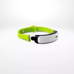 Kippy GPS Tracker für Hunde