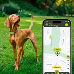 Kippy GPS Tracker für Hunde