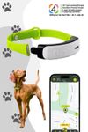 Kippy GPS Tracker für Hunde