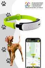 Kippy GPS Tracker für Hunde