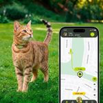 Kippy GPS Tracker für Katzen