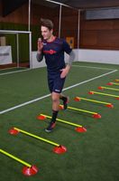 ELF Sports Markierungsteller Hürdenset - 30 teilig -