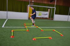 ELF Sports Markierungsteller Hürdenset - 30 teilig -