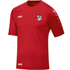 TSV Aub Trikot Team Kurzarm