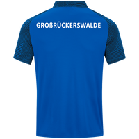 SV Großrückerswalde Polo Performance