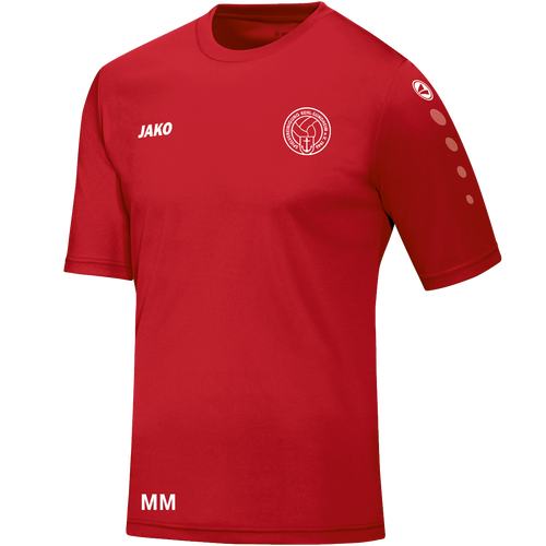 SpVgg Kehl Sundheim 1946 e.V. Trikot Team Kurzarm