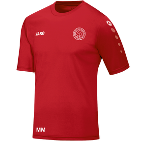 SpVgg Kehl Sundheim 1946 e.V. Trikot Team Kurzarm