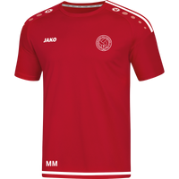 SpVgg Kehl Sundheim 1946 e.V. Trikot Striker 2.0 Kurzarm