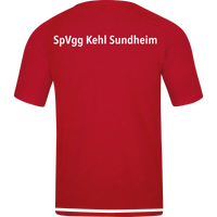 SpVgg Kehl Sundheim 1946 e.V. Trikot Striker 2.0 Kurzarm