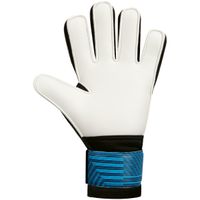 SpVgg Kehl Sundheim 1946 e.V. TW-Handschuh Performance Basic Junior RC