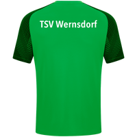 TSV Wernsdorf T-Shirt Performance