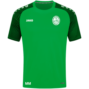 TSV Wernsdorf T-Shirt Performance