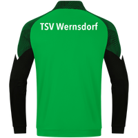 TSV Wernsdorf Polyesterjacke Performance