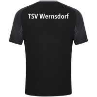 TSV Wernsdorf "Alten Herren" T-Shirt Performance