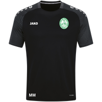 TSV Wernsdorf "Alten Herren" T-Shirt Performance