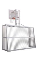 Fussballtor - SILENCE Bolzplatztor - 3,00 x 2,00 m - mit Basketballaufbau - UNKAPUTTBAR