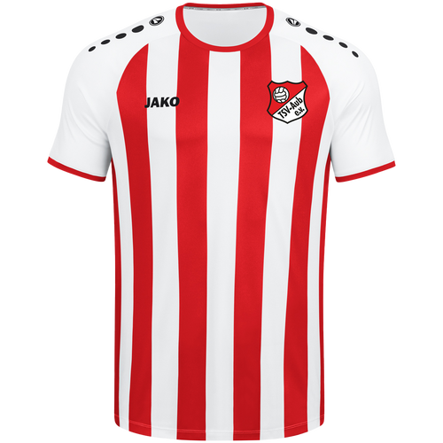 TSV Aub Trikot Inter KA