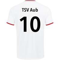 TSV Aub Trikot Inter KA