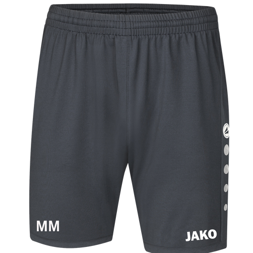 Sportfreunde Chemnitz Süd Trainer Sporthose Premium