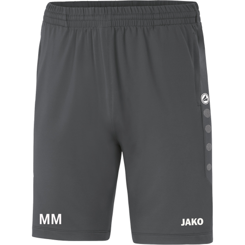 Sportfreunde Chemnitz Süd Trainer Trainingsshort Premium