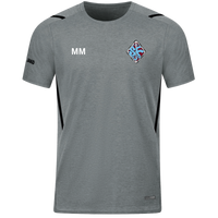 Sportfreunde Chemnitz Süd Trainer T-Shirt Challenge