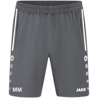 Sportfreunde Chemnitz Süd Trainer Short Allround
