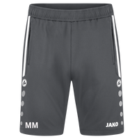 Sportfreunde Chemnitz Süd Trainer Trainingsshort Allround