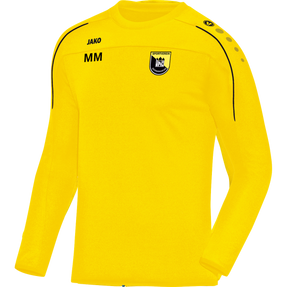 SV Schwindegg Sweat Classico