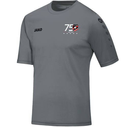 1. FC Nord Wiesbaden Trikot Team Kurzarm (75-Jahre Jubiläumsshirt mit Sonderlogo)