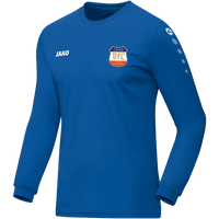 VfL Loose Trikot Team Langarm