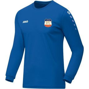 VfL Loose Trikot Team Langarm