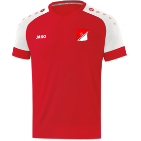 ASV Birkenheide Trikot Champ 2.0 Kurzarm
