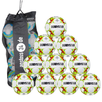 Ballset DERBYSTAR Trainingsball - APUS TT Futsal inkl. Ballsack