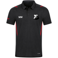 TuS Diedenshausen Polo Challenge