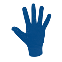 ATSV Gebirge/Gelobtland e.V. Feldspielerhandschuhe Funktion