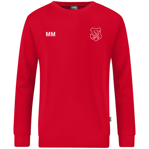 VfL Woltorf 07 Sweat Organic