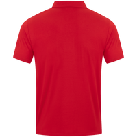 TSV Mutlangen 1884 Polo Power