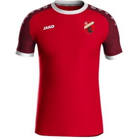 SV Mengkofen Trikot Iconic KA