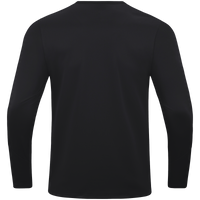 FIZ Sweat Power