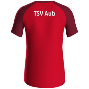TSV Aub T-Shirt Iconic